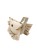 Photoroom_20260506_185231.jpg